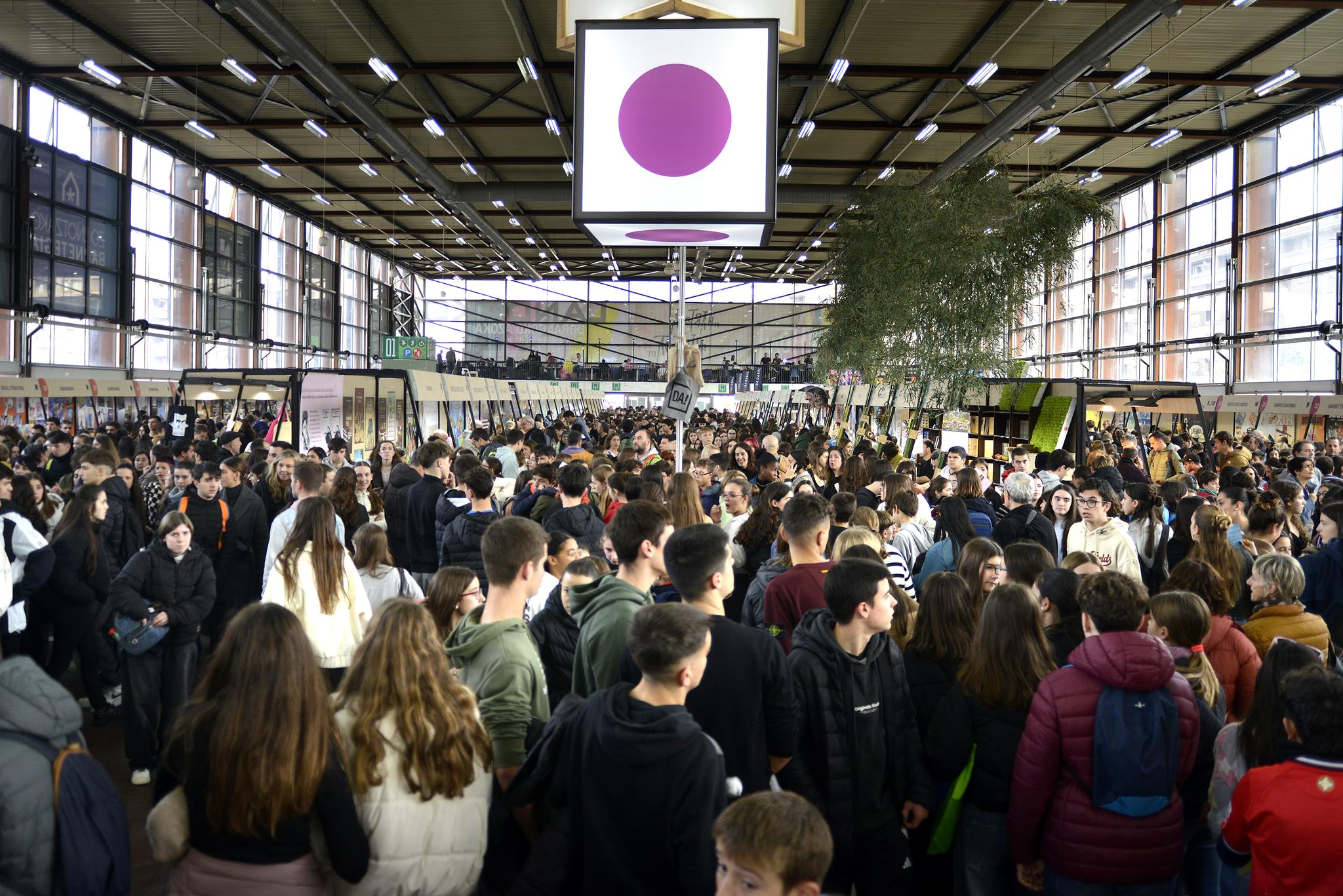 “La cultura vasca tendría más receptores habituales con la proliferación de espacios estructurales”